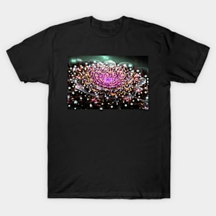 Awakening T-Shirt